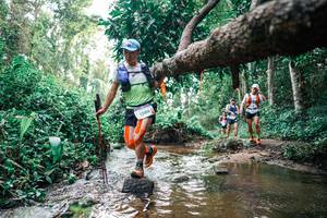 BIB: 
                            <button type="button" onclick="openModal(25369209)" class="btn btn-primary btn-sm float-right btn-popup" data-toggle="modal" data-target=".modal-high-quality">
                        <i class="fas fa-shopping-cart"></i> Add to Cart
                    </button>
                                            <button type="button" onclick="isThisMe(25369209, true)" class="btn btn-success btn-sm float-right btn-popup btn-isme hidden" data-toggle="tooltip" data-placement="bottom" title="นี่คือรูปของคุณใช่ไหม คลิกที่นี่เพื่อเอาเข้าอัลบั้ม">
                        <i class="fas fa-plus"></i> Add to album
                    </button>
                    <button type="button" onclick="isThisMe(25369209, false)" class="btn btn-warning btn-sm float-right btn-popup btn-isnotme hidden">
                        <i class="fas fa-ban"></i> Remove from album
                    </button>